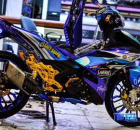 TEM XE EXCITER 06