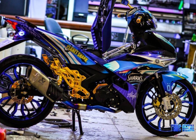 TEM XE EXCITER 06